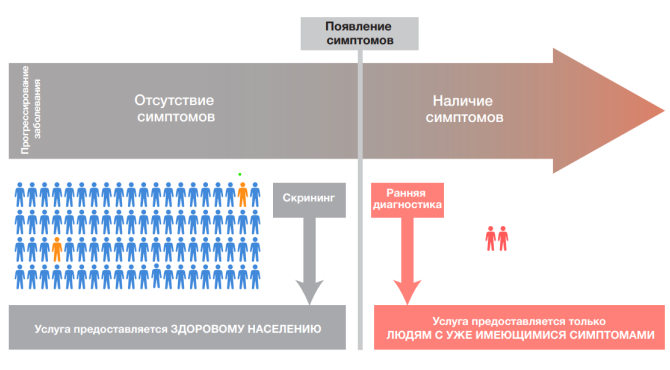 скрининг.png